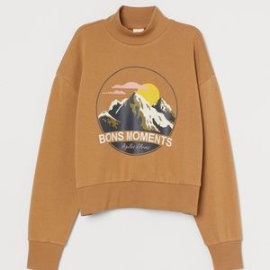 Brown Turtle Neck Sweater